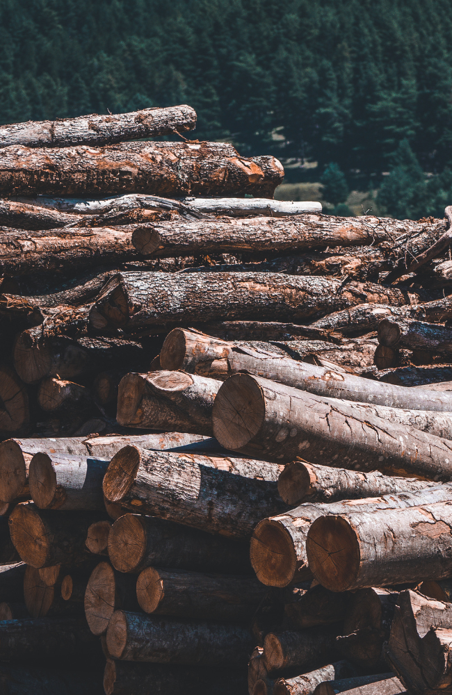 Bois de chauffage Matemale empilé prêt à l'emploi.