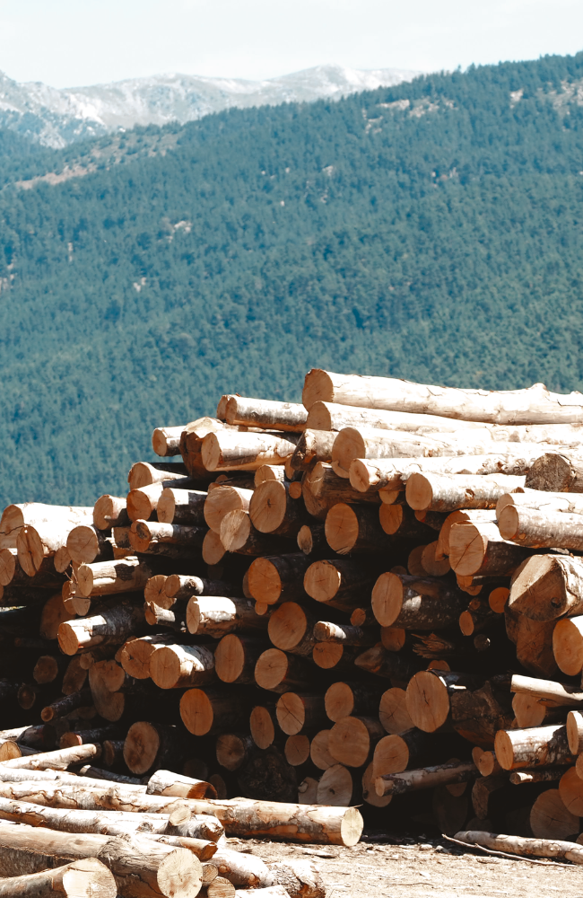 Design sans titre (2)